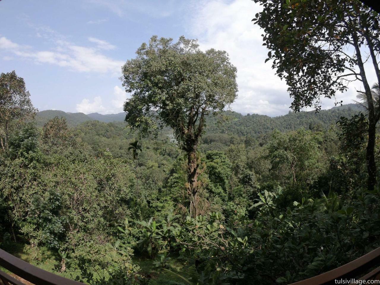 Tulsi Village Resort Munnar Anaviratty Buitenkant foto