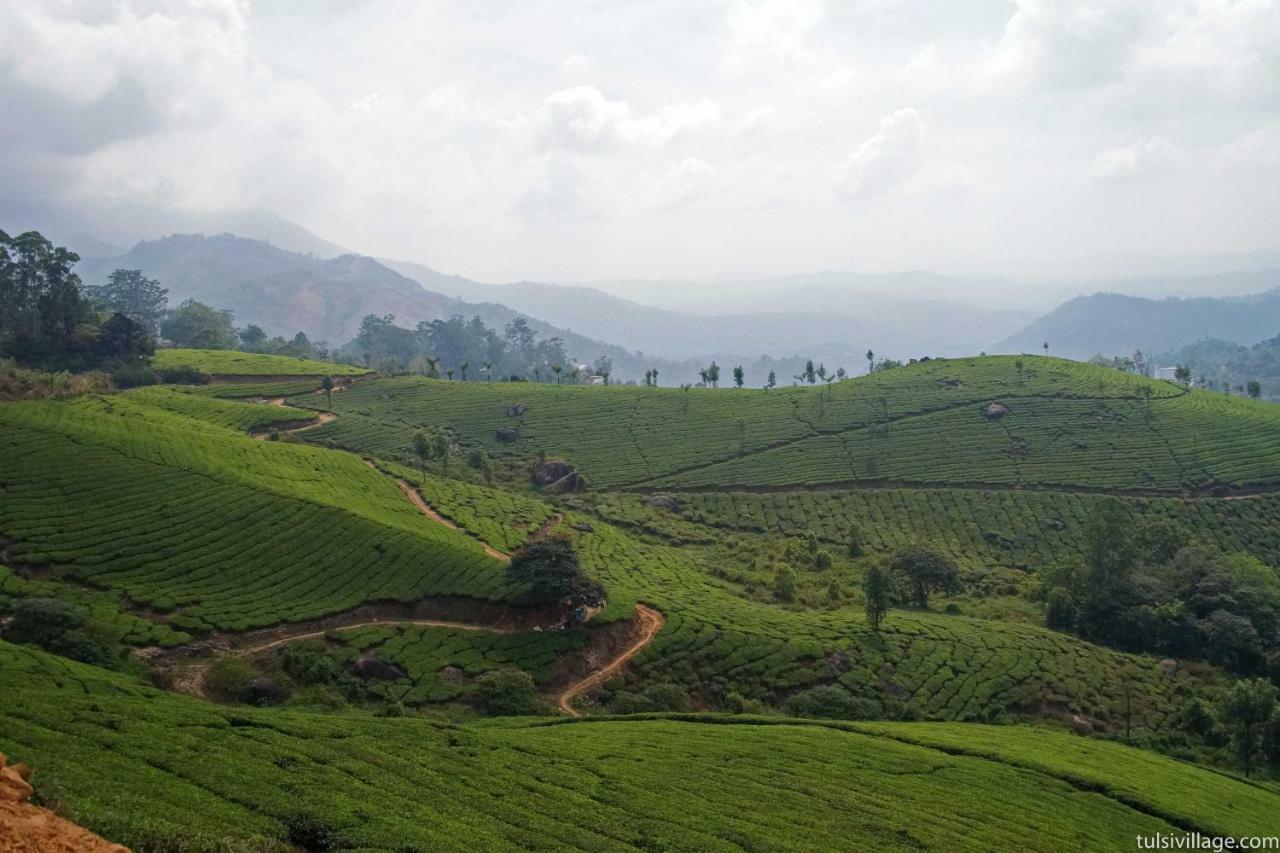 Tulsi Village Resort Munnar Anaviratty Buitenkant foto